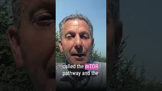 Weve Got Protein All Wrong - Dr. Joel Kahn