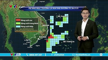 Dự báo thời tiết 9h10 - 26/05/2023 | Ngư trường cá ngừ đại dương từ nay đến 31/5 | VTVWDB