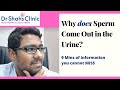 Why Does Sperm Come Out In The Urine Sperm Leakage In The Urine Explained 