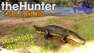Jagd auf das Salzwasser-Krokodil in Australien | thehunter Call of the Wild | Gameplay Deutsch screenshot 4