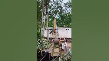 The process of bamboo crushing- Good tools and machinery make work easy