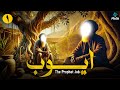 قصص الأنبياء قصه نبي الله أيوب عليه السلام الحلقة الاولي 