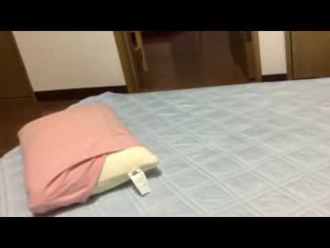 なんの意味も無い‼︎
