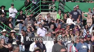 New to horseracing? No Problem. A quick lesson on win, place and show betting.