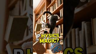 Physics vs. My Cat: Professor Paws Explains! ✨ #Shorts #funny @FunFluxBD