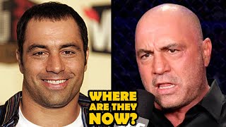 Joe Rogan | CANCELLED By Spotify For Podcast Misinformation | Where Are They Now?