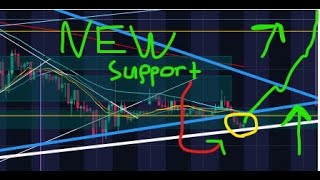 BNGO FOUND NEW SUPPORT, Technical Analysis, Earnings, New Catalysts, Upwards Correction + Timestamps