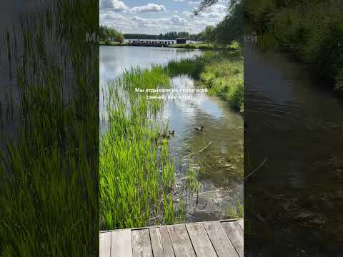 Как думаете, что это за зверек? ❤️ Подпишись на будни многодетной семьи #семья #буднисмалышом #влоги