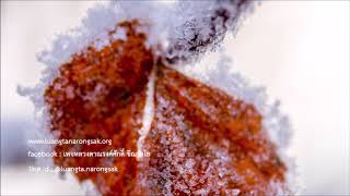 190330B 3 ตอบคำถามโดยน้องพอดี & นินิม   1