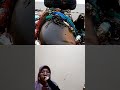 Anjing laut terpaut sampah #shorts