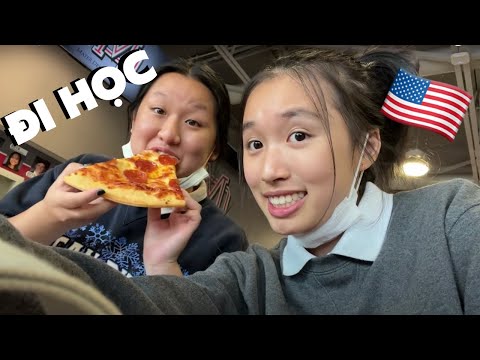 24H ĐI HỌC Ở MỸ? SỰ THẬT.