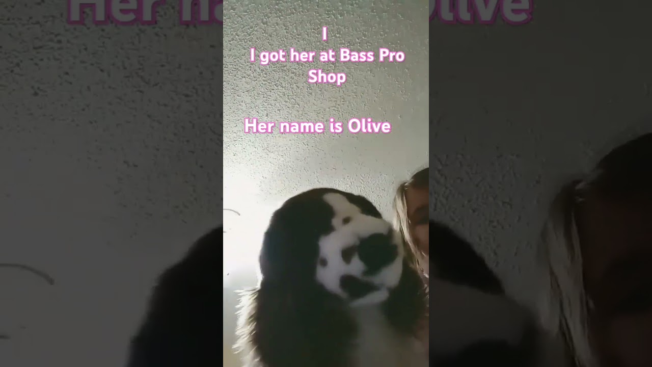 I love these type of dog toys