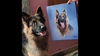 Celebrity Pawstro Digital Pet Portraits | Sheru's Reaction on his Painting | #shorts Net Worth