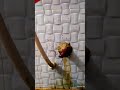 কনসিল এঙ্গুলার ভেঙে গেছে#shortsvideo