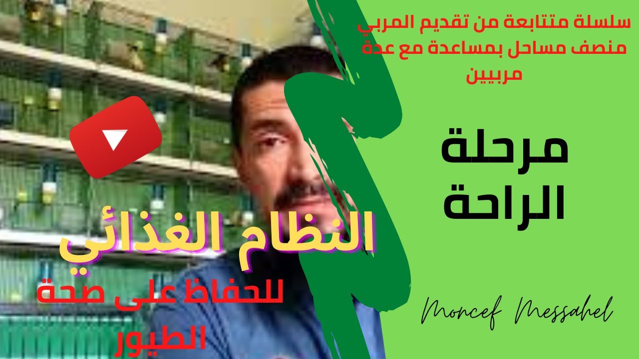 فترة الراحة (النظام الغذائي) فكرة عامة