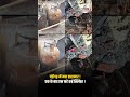 घर तबाह, मची चीख पुकार, Chandigarh में Cylinder Blast का खौफनाक वीडियो | Chandigarh Blast Video