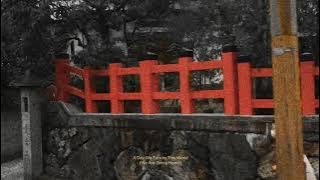 In Inertia - A Day We Turn to This World (We Are Going Home)