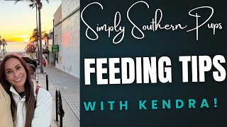 How to Feed Your Puppy Essential Tips with Kendra
