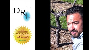 Five Simple Steps to Install DRI in Less Than One Minute For Vineyards