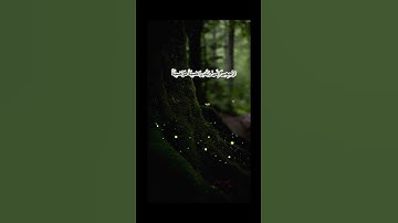 أرح قلّبك مع القرآن الكريم بصوت القارئ علي نمير سورة الفجر  #اكسبلور #المصحف #الرحمن #القرآن_الكريم
