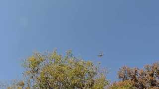 Flyover -- Veterans Day Ceremony 2013