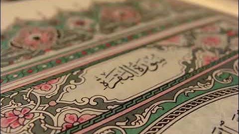سورة البقرة كاملة بصوت القارئ صلاح الهاشم تلاوة رائعة #صلاح_الهاشم #قرآن #fyp #سورة_البقرة