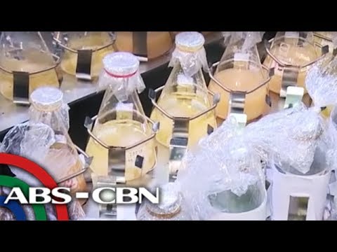 Video: Talahanayan Ng Plastik (39 Na Larawan): Mga Katangian At Tampok Ng Patong Na Plastik, Parisukat At Mga Parihabang Modelo Ng Mga Mesa Na May Mga Overlay Sa Tabletop Na May Mga Upuan