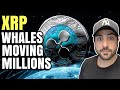 💰 XRP RIPPLE WHALES MOVING MILLIONS | BITCOIN TO $50K SOON | VRA & UFO GAMING UNDERVALUED GEMS