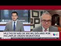 ¿Qué hacer si recibes cartas del DHS con multas en las que debes pagar miles de dólares?