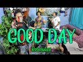 Packasz Good Day Rebelution Cover mp3
