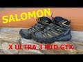 Salomon X Ultra 3 Mid GTX Review