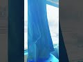 #viral