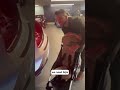 Stroller 1 Andy 0