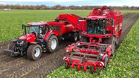 Bieten oogst 2025 met de nieuwe Vervaet Q-SERIES   Loonb. Sandee.  4K.