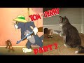 TOM And JERRY In Real Life Best Episodes PART 2 