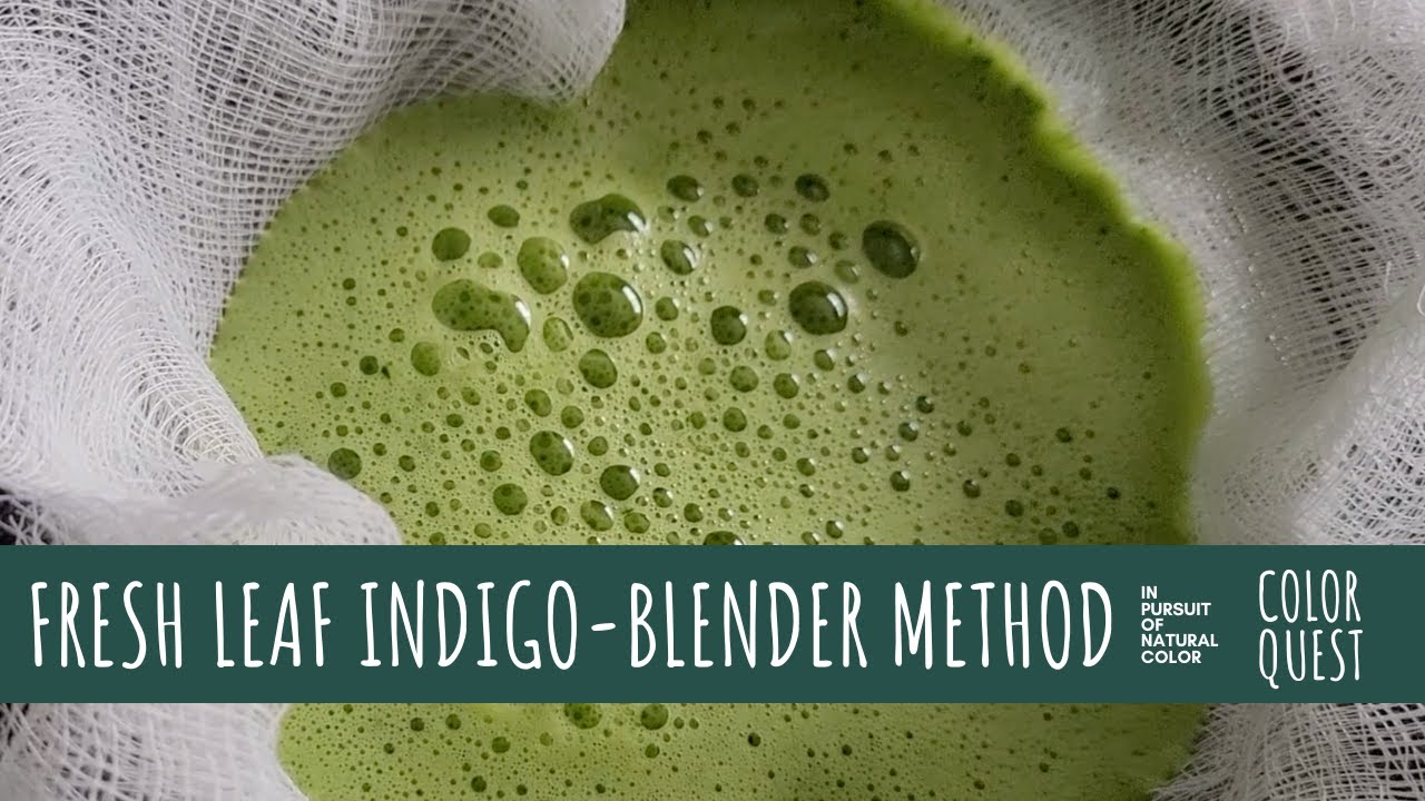 HOW TO DYE WITH FRESH LEAF INDIGO | BLENDER METHOD | ORGANIC COLOR | BLUE GREEN | THE COLOR FARM