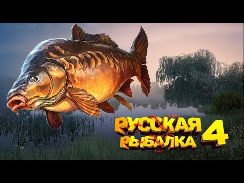 Видео: Russian Fishing 4 - ЛОВИМ КИТА!!! Утренняя русская рыбалка #russianfishing4 #русскаярыбалка