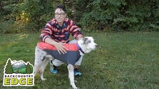 Ruff Wear Powder Hound Insulated Dog Jacket