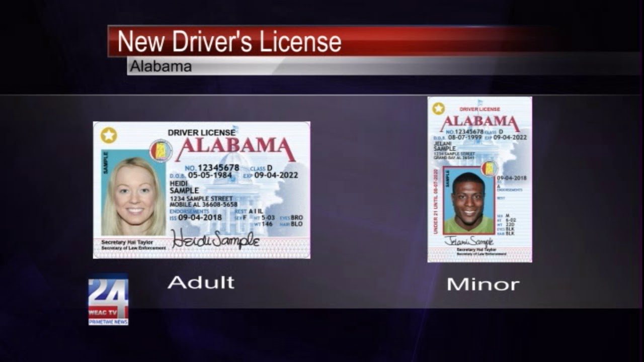 driver license online