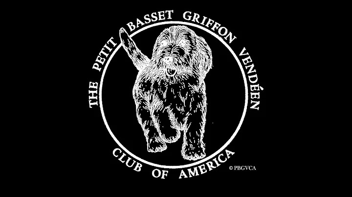 Learn about the joy of hunting with your PBGV