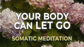 Complete the Stress Cycle | Somatic Practice to Release Stored Survival Energy