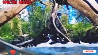 spiktri music  🎶(Daring)