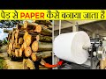 लकड़ी से कागज कैसे बनता है? | How is paper made | Most Amazing Facts | Random Facts | Facts | FE #83