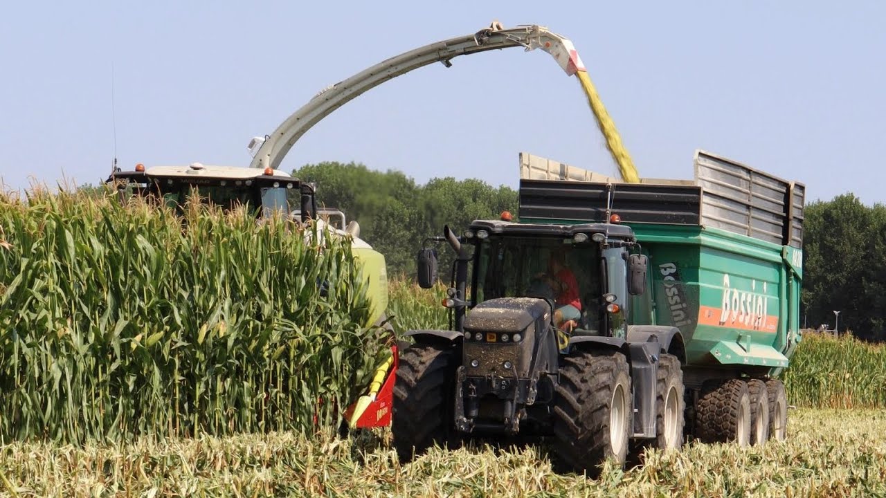 Claas Jaguar 970 | Pastone di mais 2022