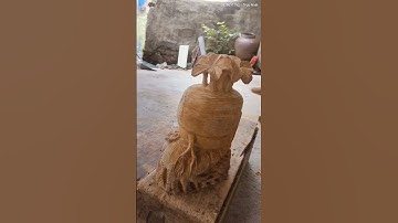 sâm Ngọc am thơm ngát #ngocamhagiang #golua #xuhuong