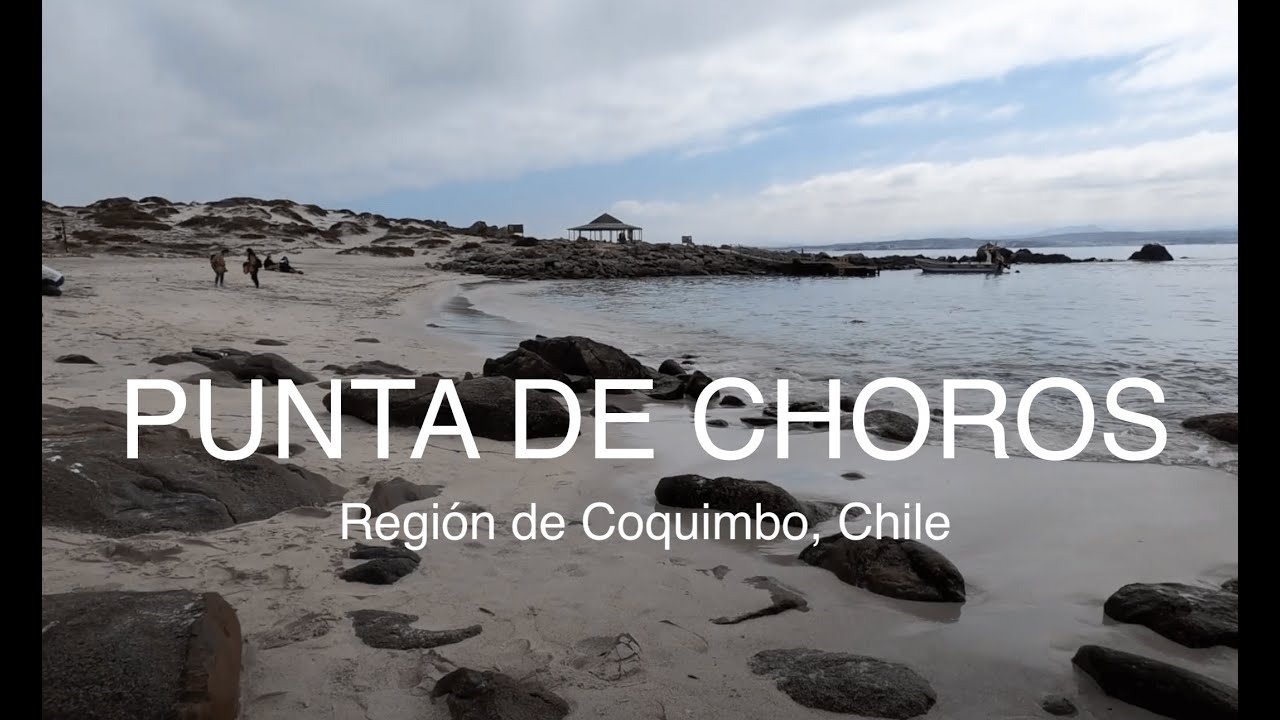 Punta de Choros, Región de Coquimbo, Chile