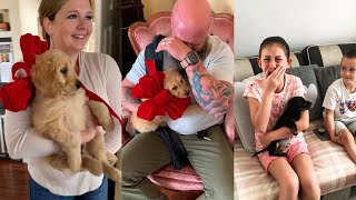 Puppy Surprise Compilation | Dog Surprise Compilation | Try Not to Cry + Miyu Animals