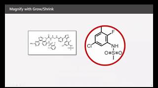 PowerPoint Tutorial - Magnification screenshot 2