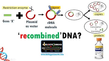 Animatie van recombinante DNA-technologie