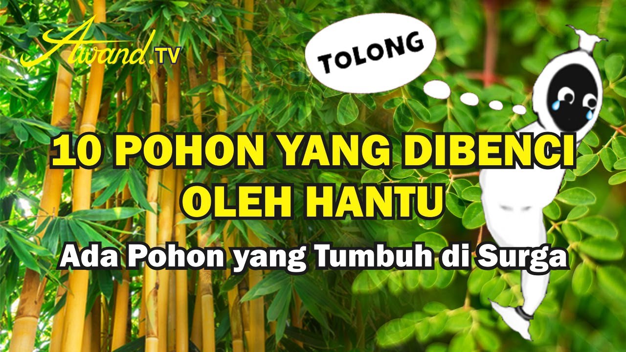 10 Pohon yang Dibenci Oleh Hantu | Ada Pohon yang Tumbuh di Surga